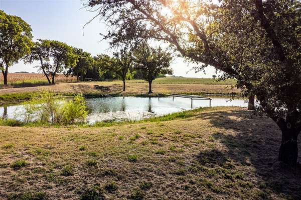 14.2 Acres of Land for Sale in Blue Ridge, Texas