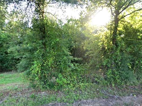 50 Acres of Recreational & Residential Land for Sale in Carthage, Texas