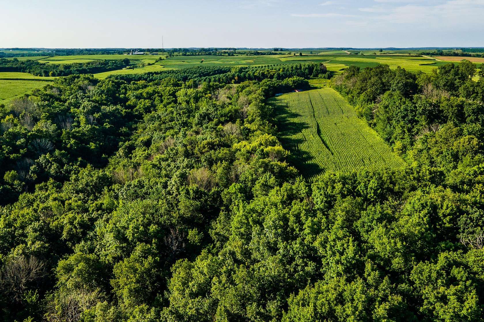 39.8 Acres of Land for Sale in Cazenovia, Wisconsin