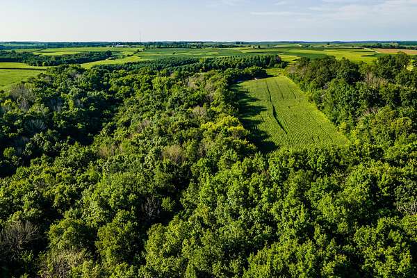 39.8 Acres of Land for Sale in Cazenovia, Wisconsin