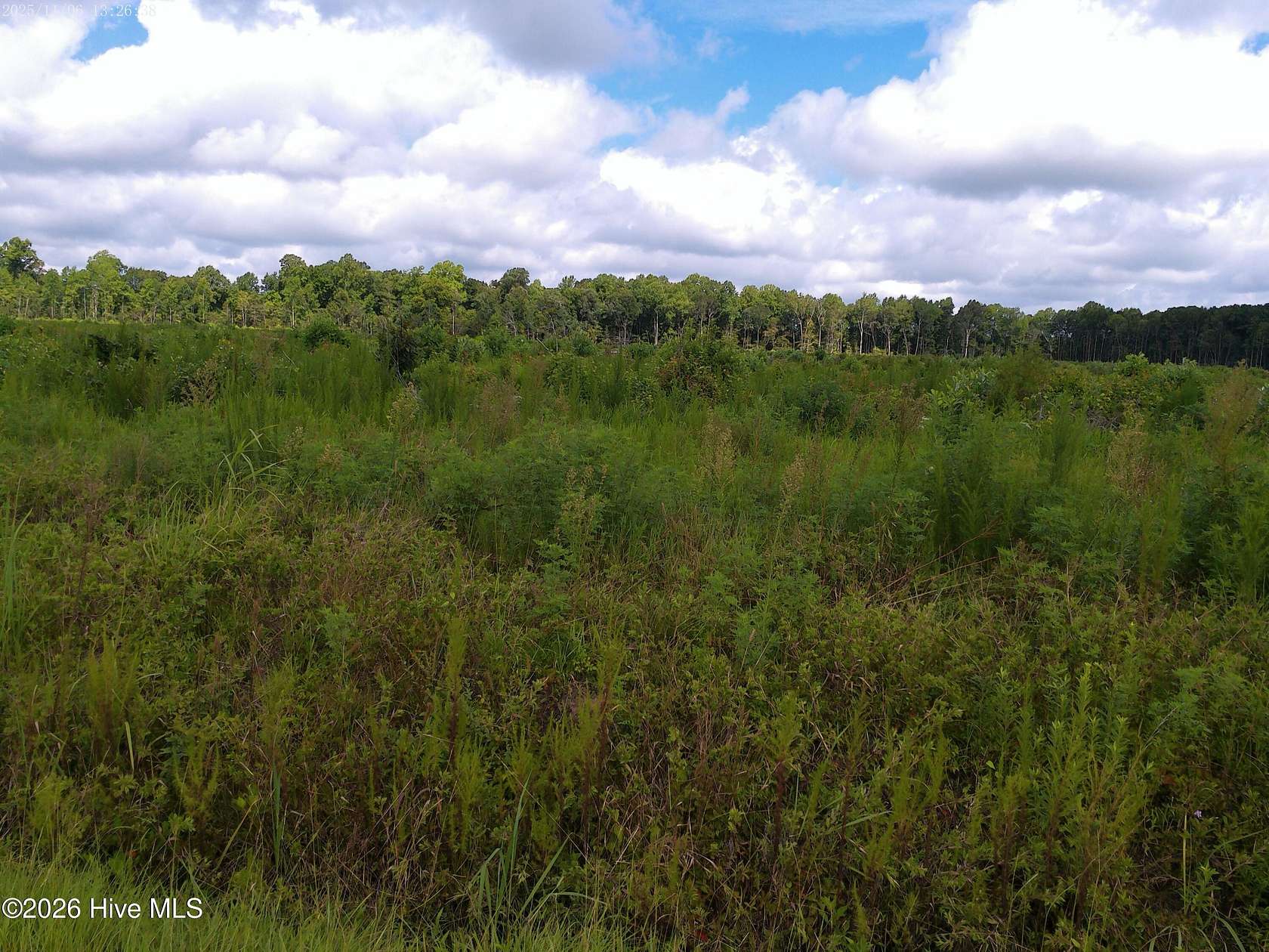1 Acre of Land for Sale in Hertford, North Carolina