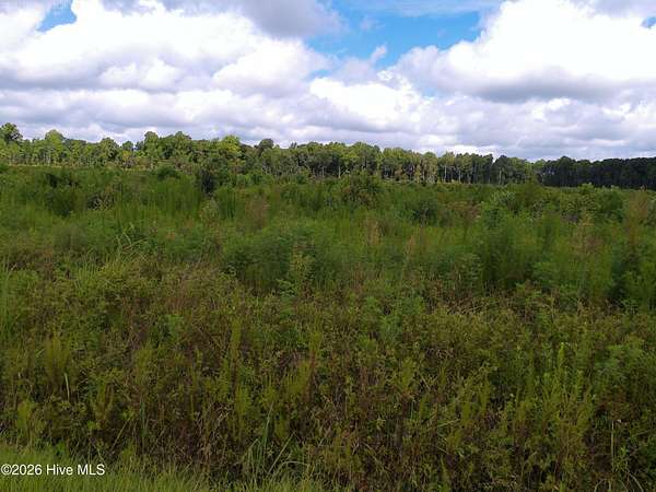 1 Acre of Land for Sale in Hertford, North Carolina
