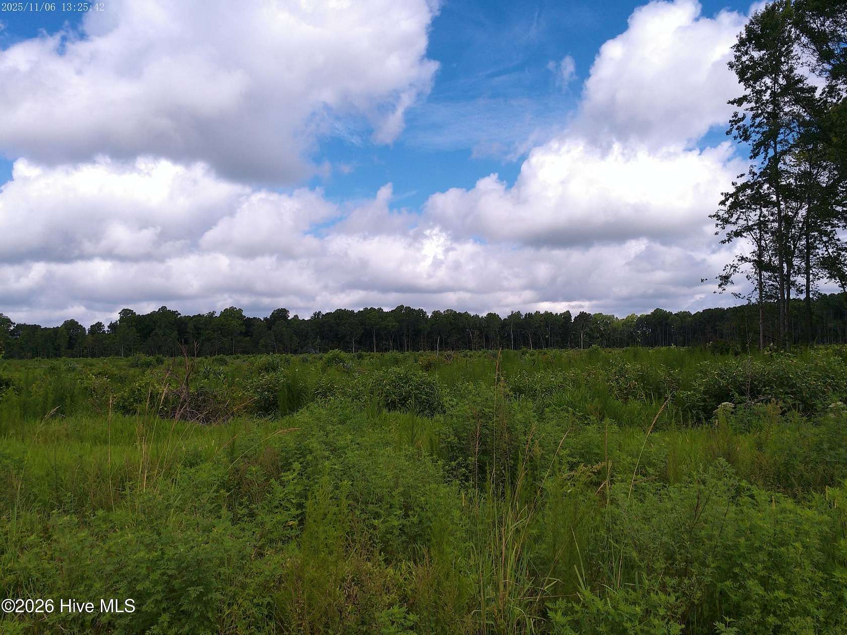 1 Acre of Land for Sale in Hertford, North Carolina