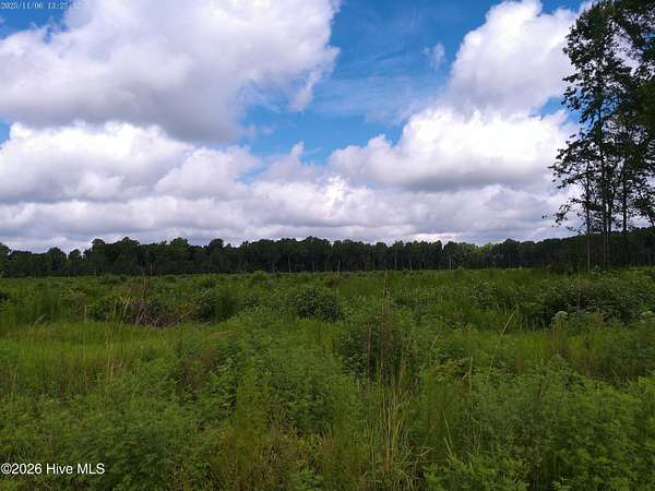 1 Acre of Land for Sale in Hertford, North Carolina