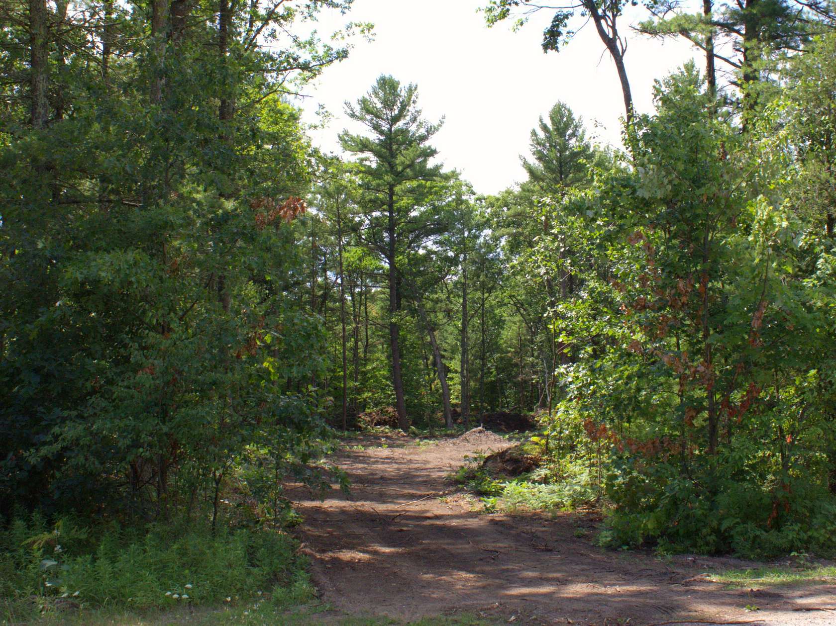 0.63 Acres of Residential Land for Sale in Twin Lake, Michigan