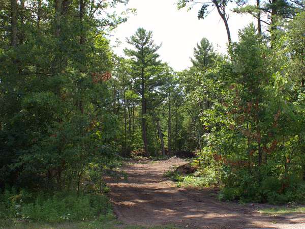 0.63 Acres of Residential Land for Sale in Twin Lake, Michigan