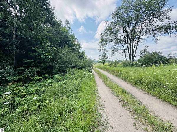 4.22 Acres of Residential Land for Sale in Manton, Michigan