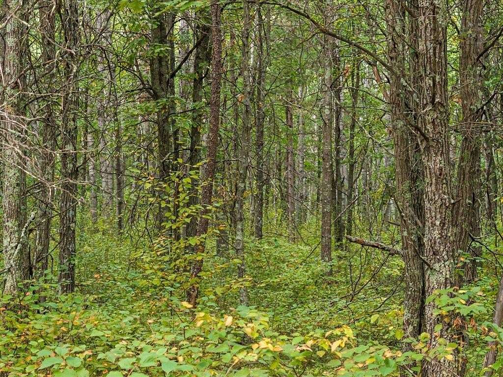 10.3 Acres of Recreational & Residential Land for Sale in Merrifield, Minnesota