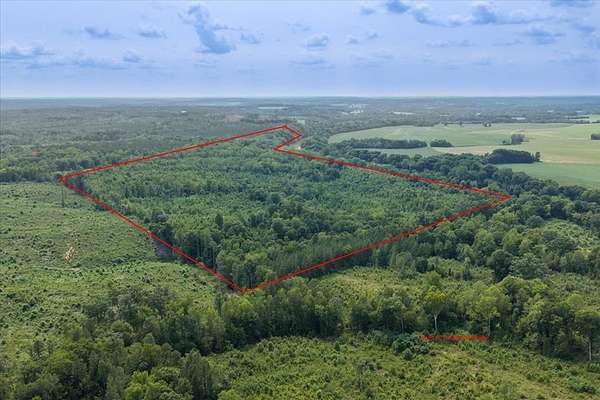98.6 Acres of Recreational & Residential Land for Sale in Alton, Virginia