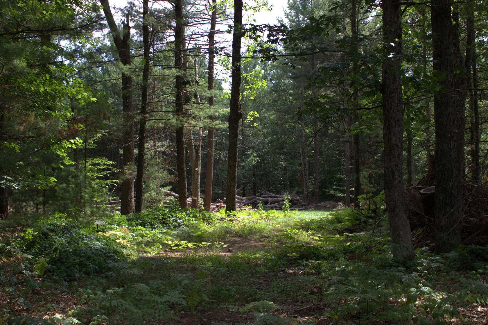 1.36 Acres of Residential Land for Sale in Twin Lake, Michigan