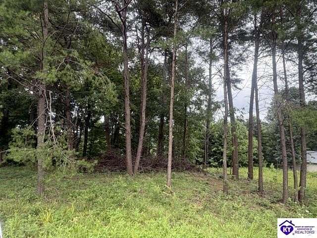 0.4 Acres of Land for Sale in Falls of Rough, Kentucky