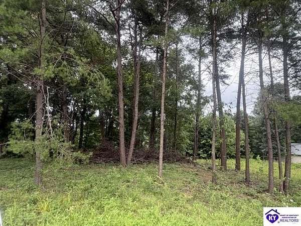 0.4 Acres of Land for Sale in Falls of Rough, Kentucky