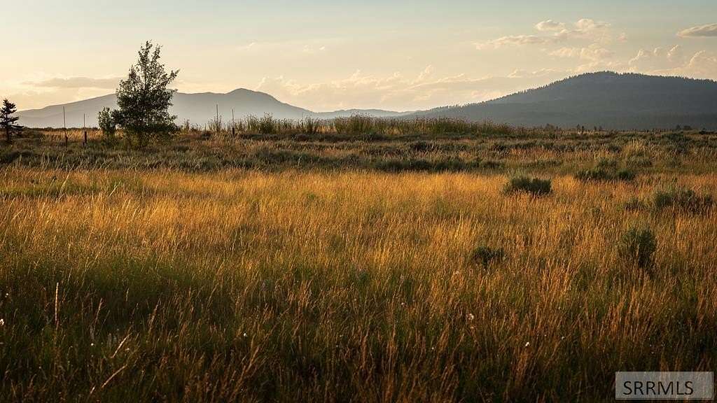 3 Acres of Residential Land for Sale in Island Park, Idaho