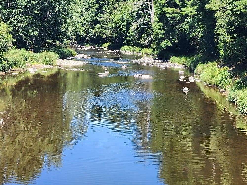 77.3 Acres of Land for Sale in Athens, Wisconsin