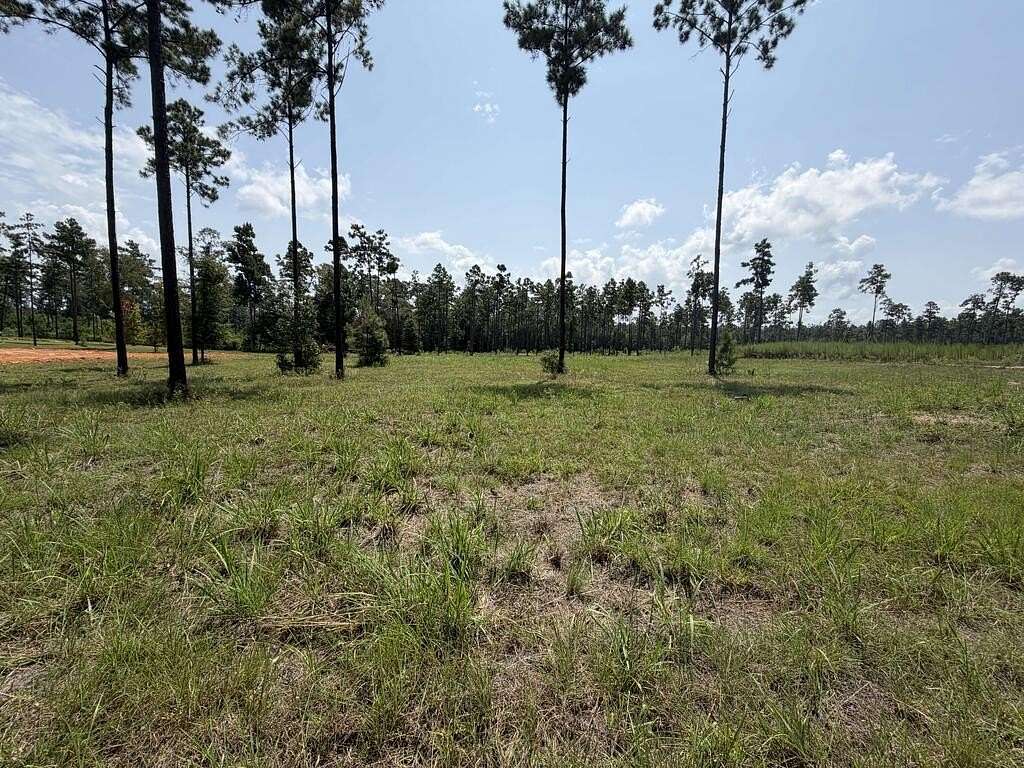 1 Acre of Residential Land for Sale in Brookeland, Texas