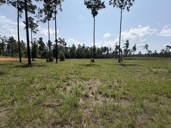 1 Acre of Residential Land for Sale in Brookeland, Texas