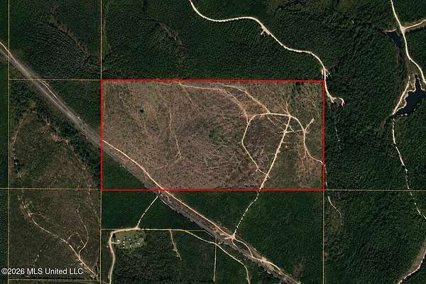80 Acres of Recreational Land for Sale in Richton, Mississippi