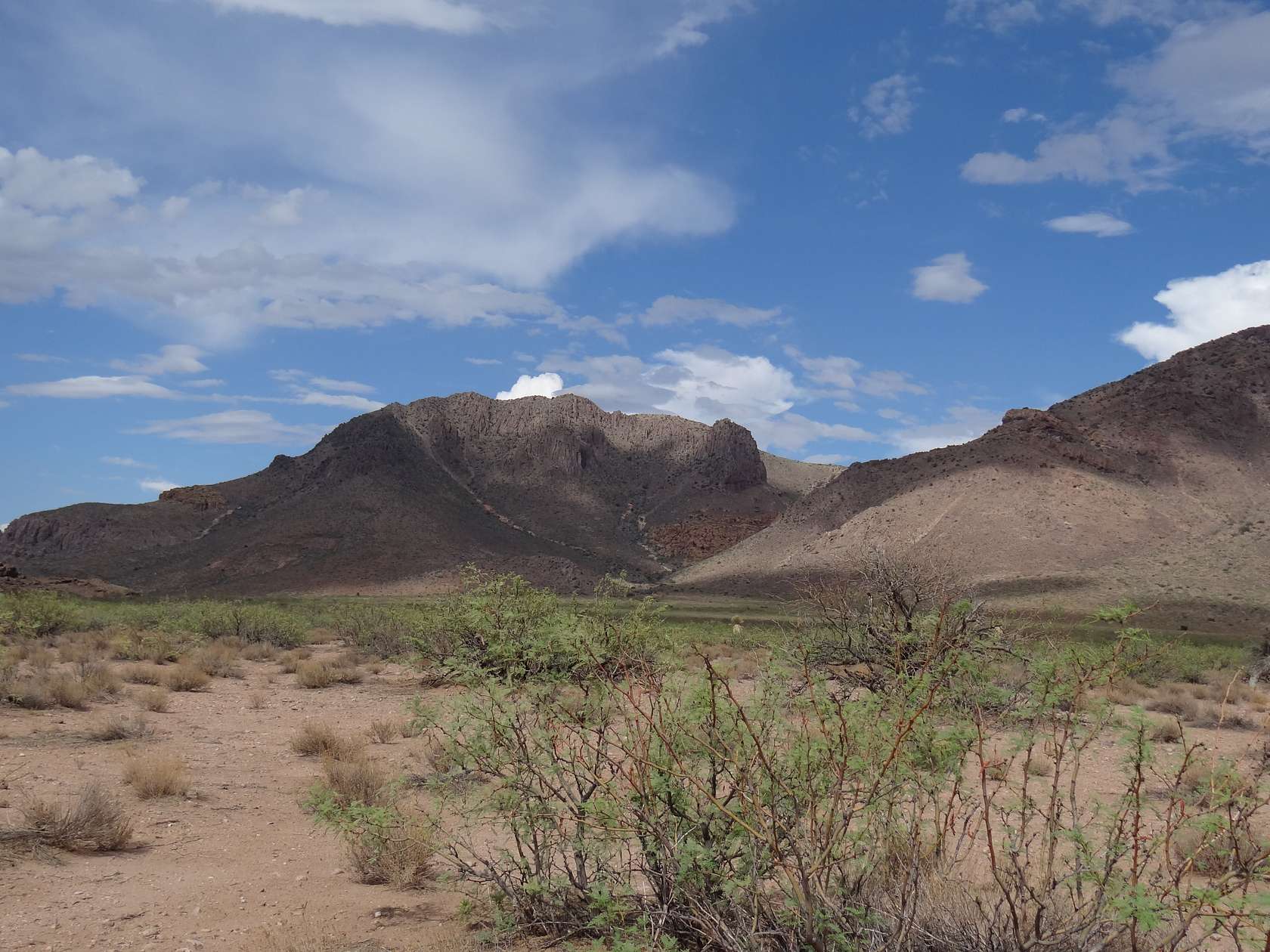 2.5 Acres of Residential Land for Sale in Rodeo, New Mexico