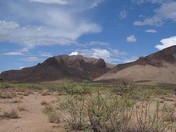 2.5 Acres of Residential Land for Sale in Rodeo, New Mexico