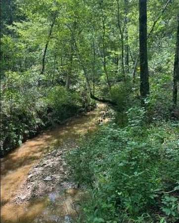 18 Acres of Land for Sale in Ninety Six, South Carolina
