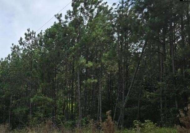5 Acres of Residential Land for Sale in Ninety Six, South Carolina