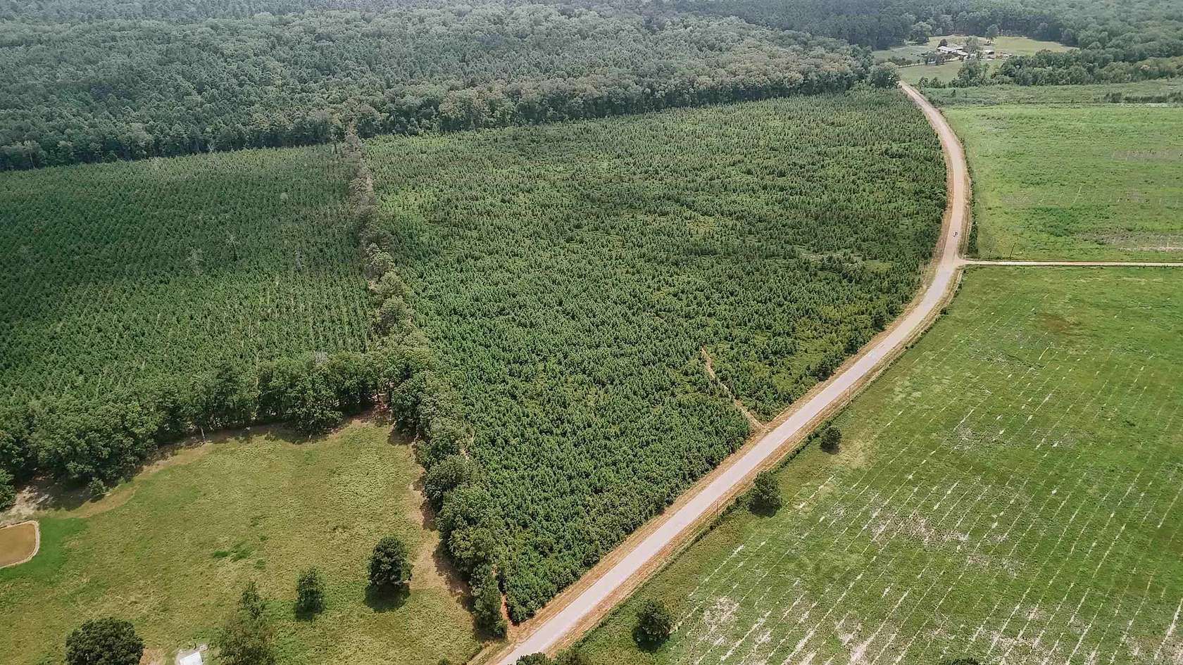 45 Acres of Recreational & Residential Land for Sale in Arkadelphia, Arkansas