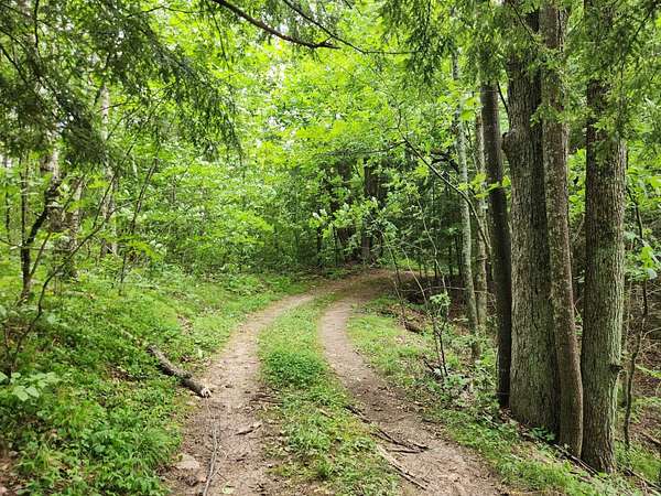 37.4 Acres of Land for Sale in Wittenberg, Wisconsin