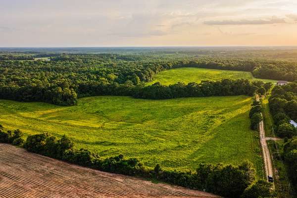 160 Acres of Land for Sale in New Brockton, Alabama
