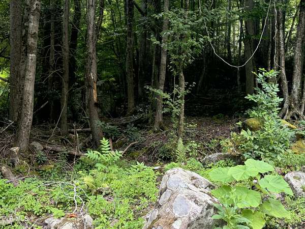 3 Acres of Residential Land for Sale in Roan Mountain, Tennessee