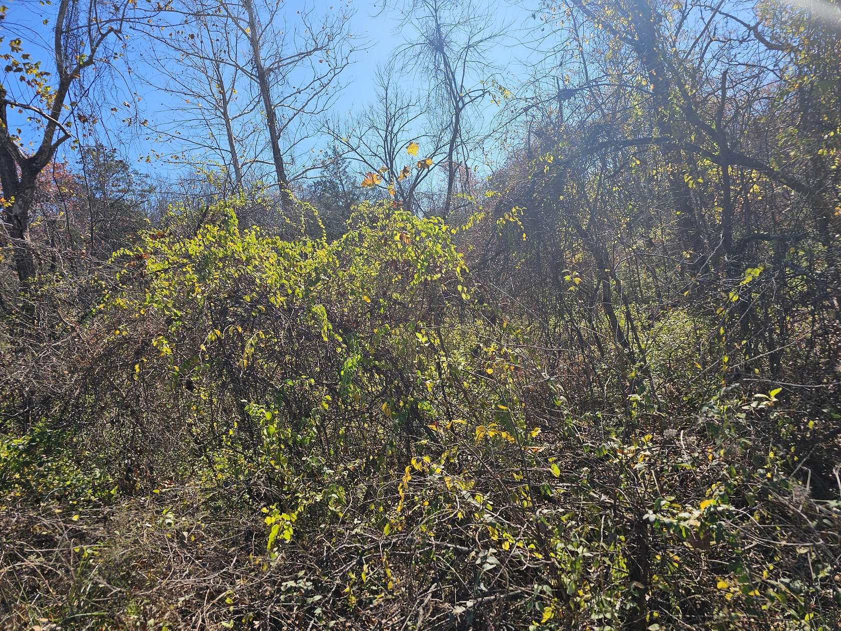0.13 Acres of Land for Sale in Merriam Woods, Missouri