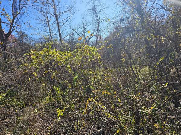 0.13 Acres of Land for Sale in Merriam Woods, Missouri