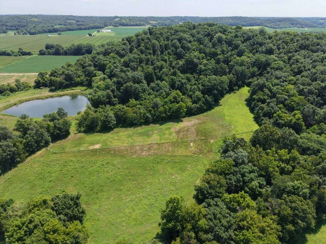 38.5 Acres of Land for Sale in Nebo, Illinois