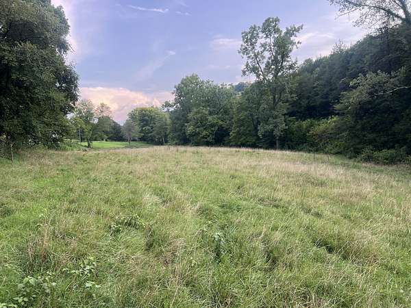 49 Acres of Land for Sale in Elmwood, Tennessee