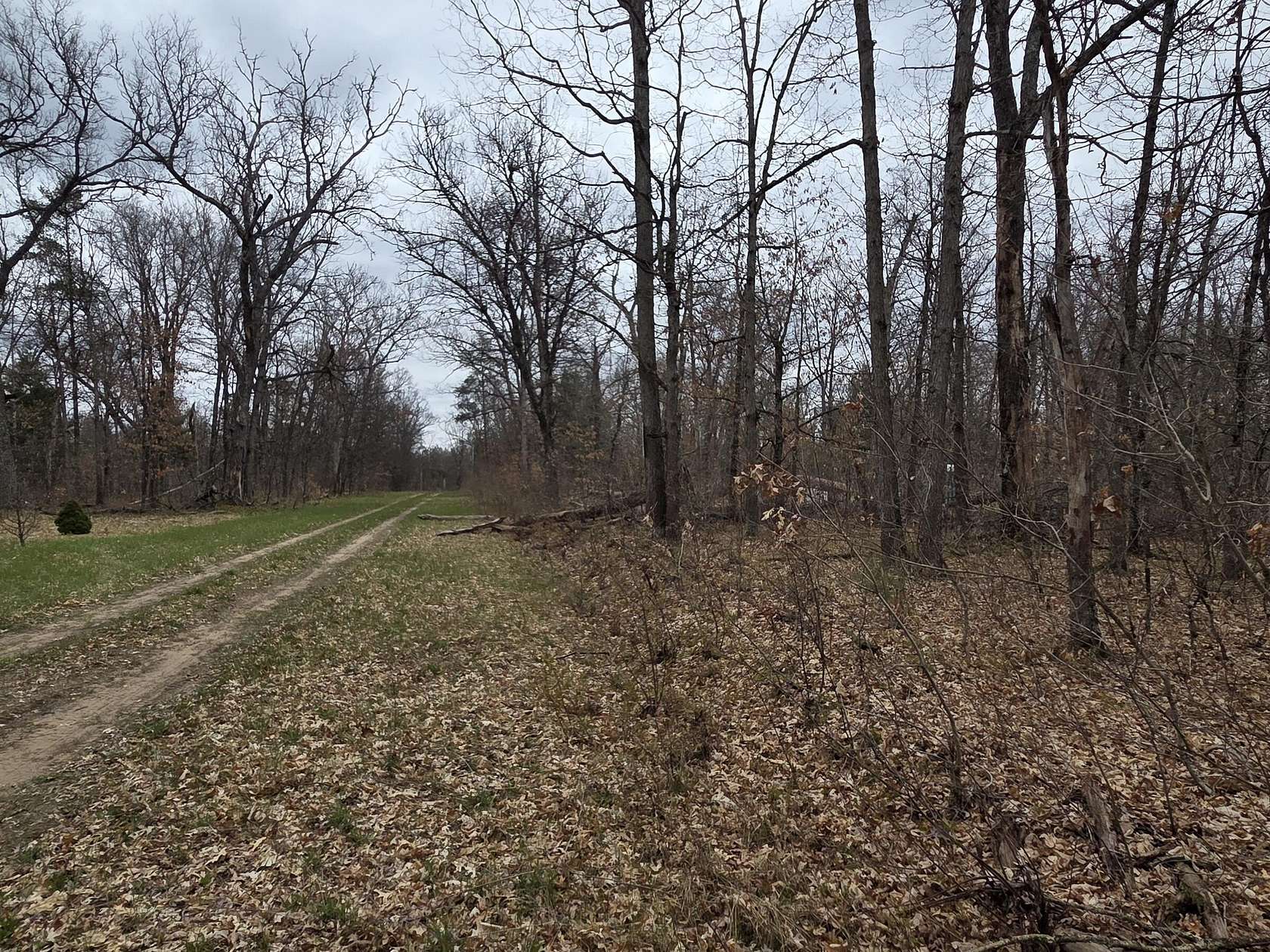 0.28 Acres of Residential Land for Sale in Baldwin, Michigan