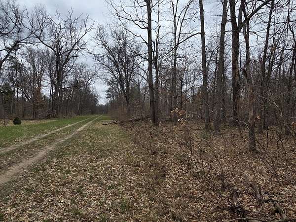 0.28 Acres of Residential Land for Sale in Baldwin, Michigan