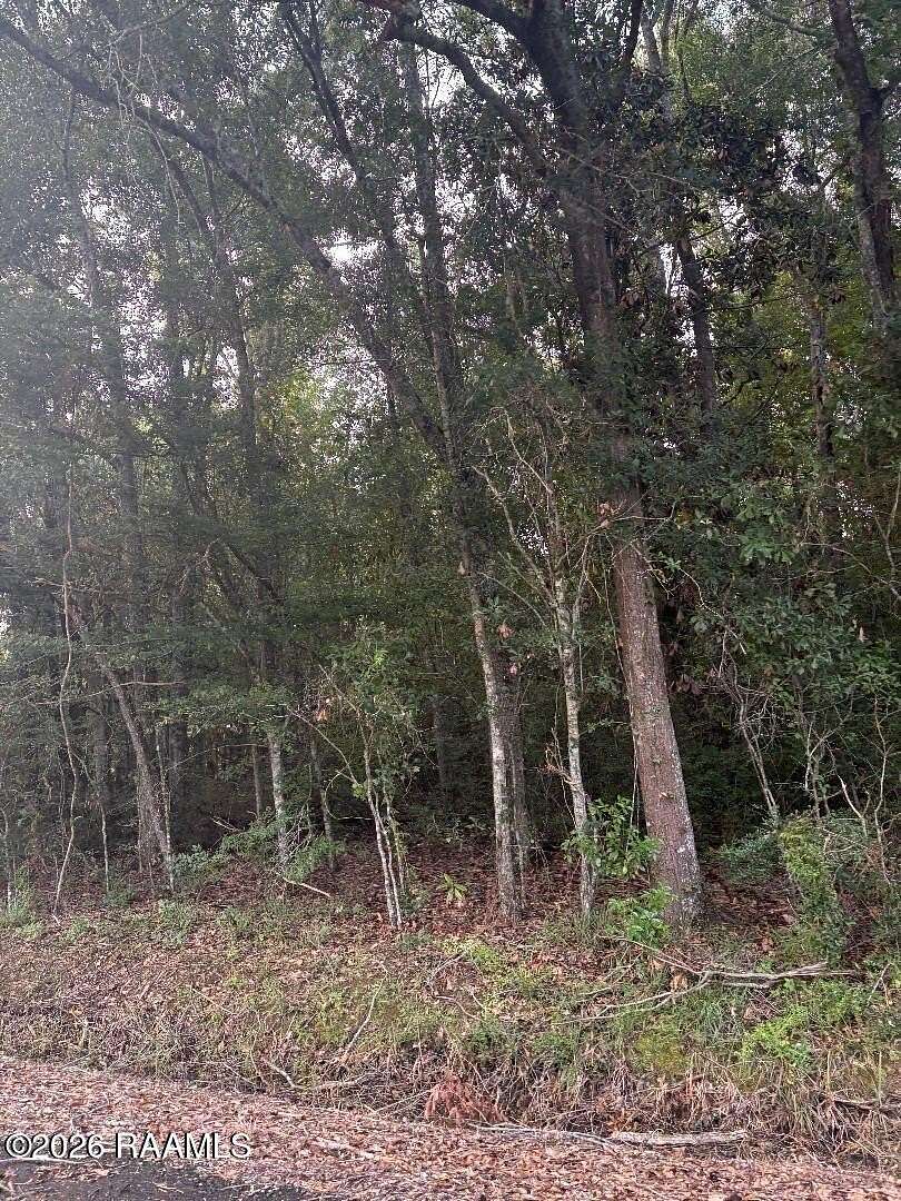 1.2 Acres of Land for Sale in Abbeville, Louisiana
