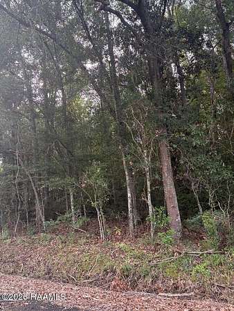 1.2 Acres of Land for Sale in Abbeville, Louisiana