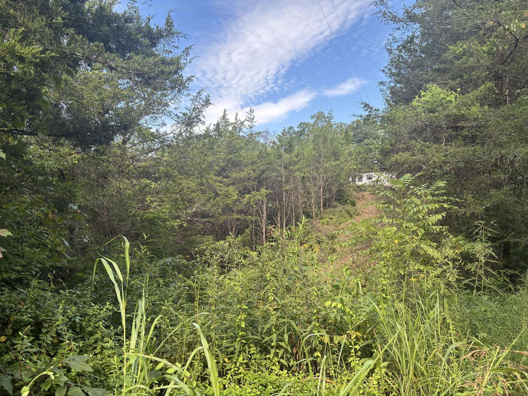 7.78 Acres of Residential Land for Sale in Whitesburg, Tennessee