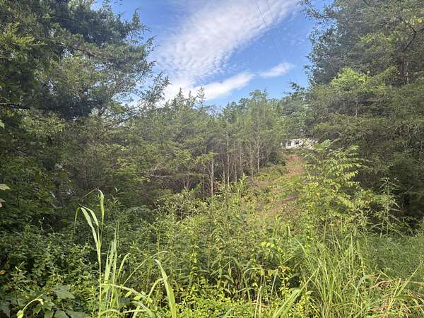 7.78 Acres of Residential Land for Sale in Whitesburg, Tennessee
