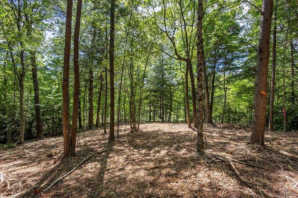 4.2 Acres of Residential Land for Sale in Murphy, North Carolina