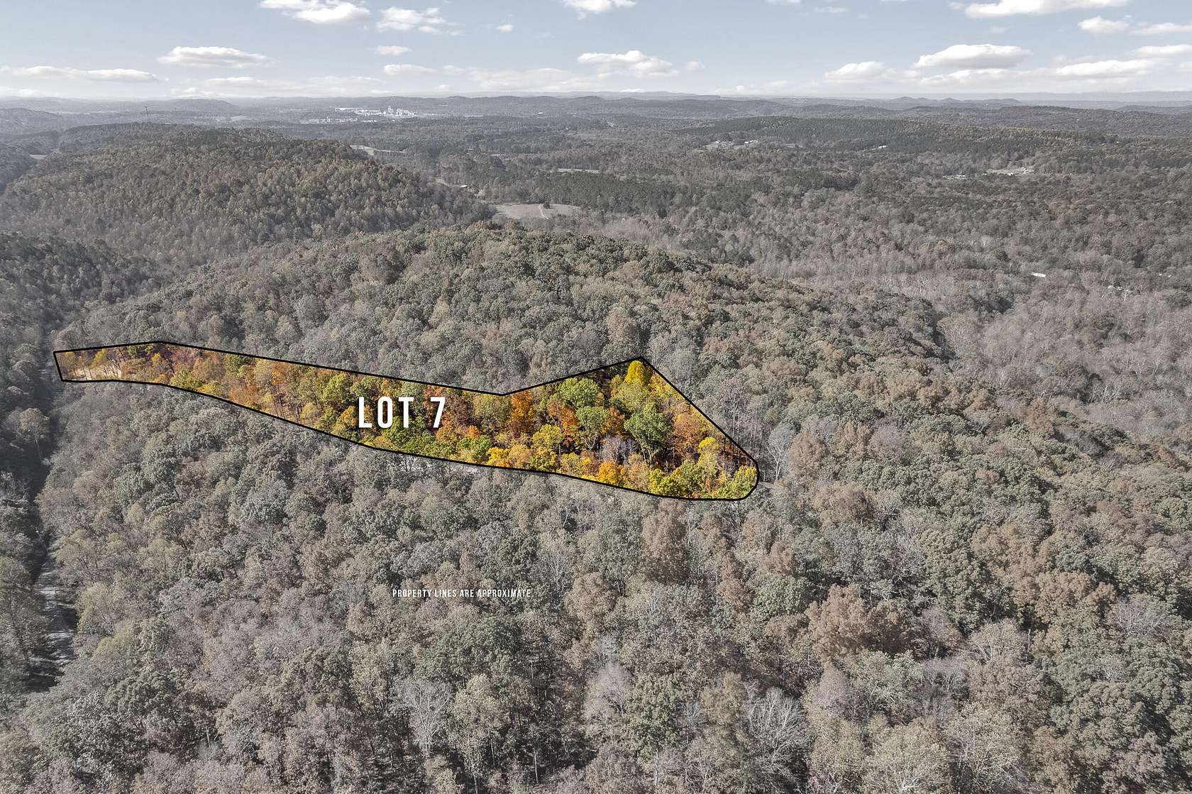 6.14 Acres of Residential Land for Sale in Riceville, Tennessee