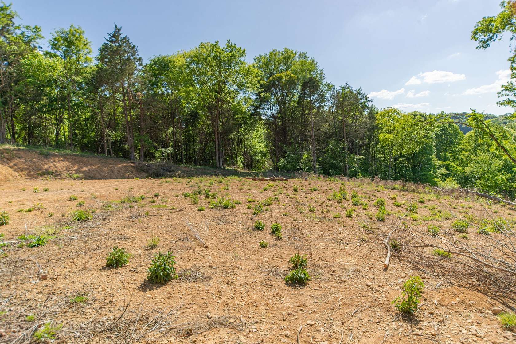 20.4 Acres of Recreational & Residential Land for Sale in Lewisburg, Tennessee