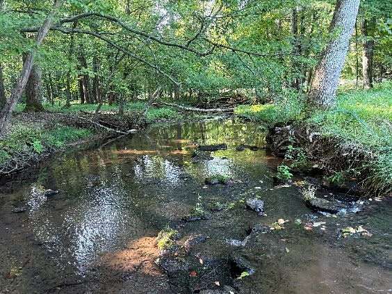 46.7 Acres of Recreational & Residential Land for Sale in Bon Aqua, Tennessee