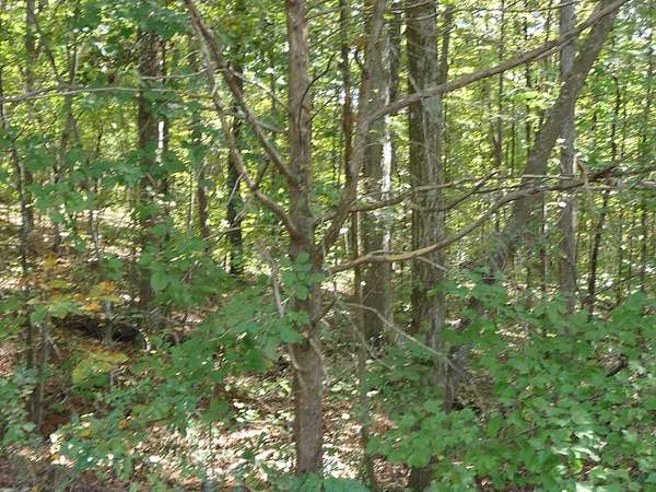 1 Acre of Land for Sale in Cleveland, Tennessee