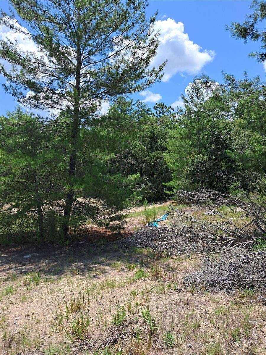 0.23 Acres of Residential Land for Sale in Ocala, Florida