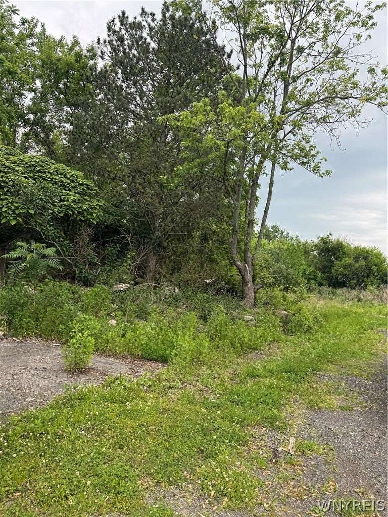 0.4 Acres of Land for Sale in Niagara Falls, New York