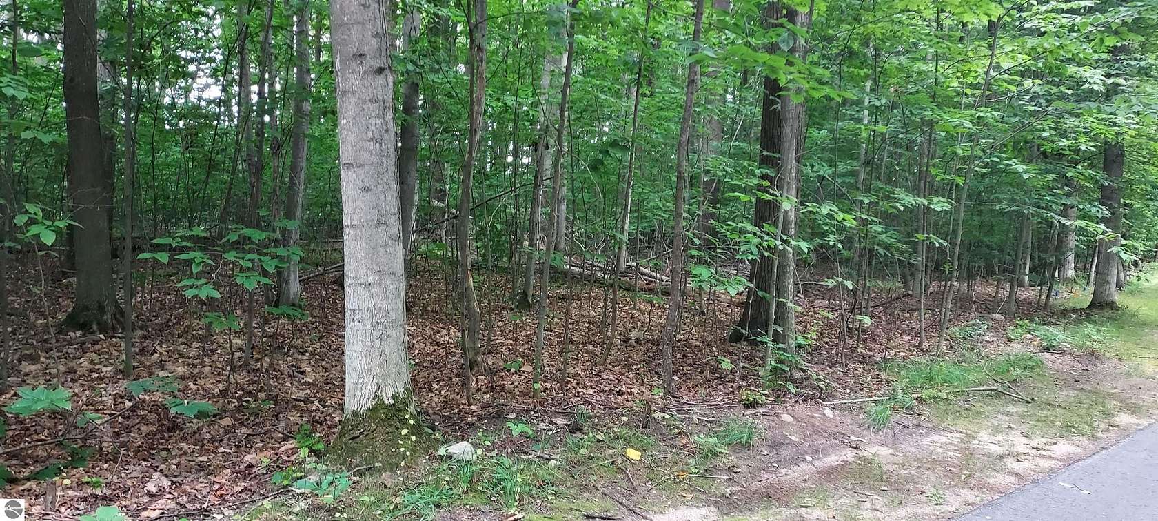 0.5 Acres of Residential Land for Sale in Bellaire, Michigan