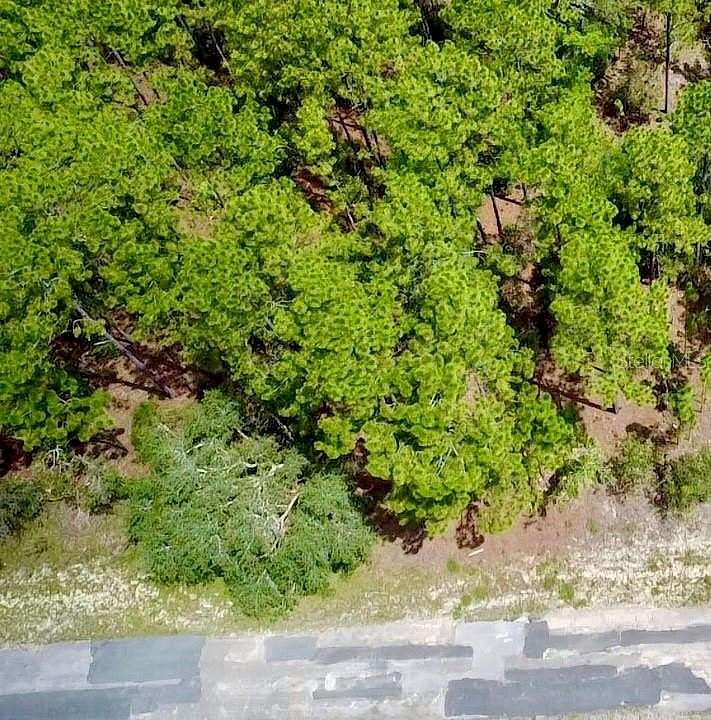0.5 Acres of Residential Land for Sale in Citrus Springs, Florida