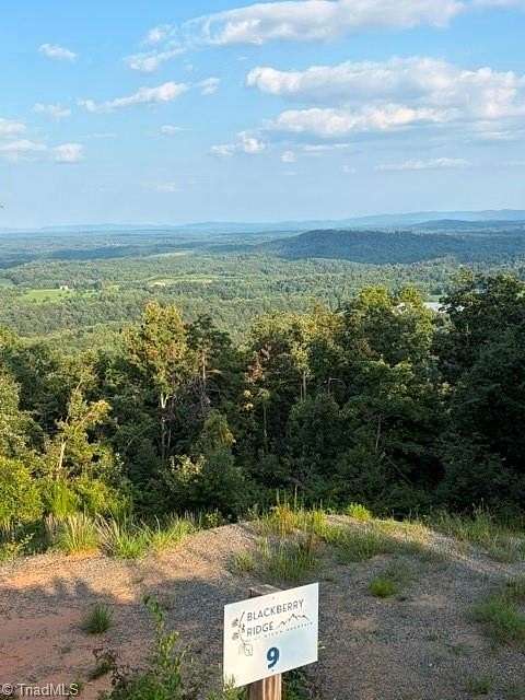 10.3 Acres of Land for Sale in McGrady, North Carolina