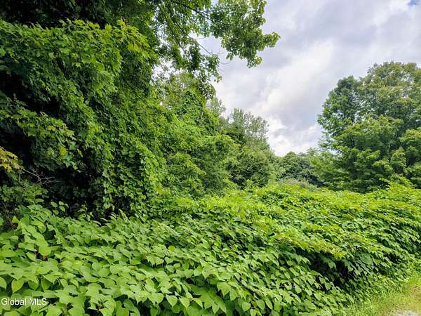 0.98 Acres of Land for Sale in Greenfield Center, New York